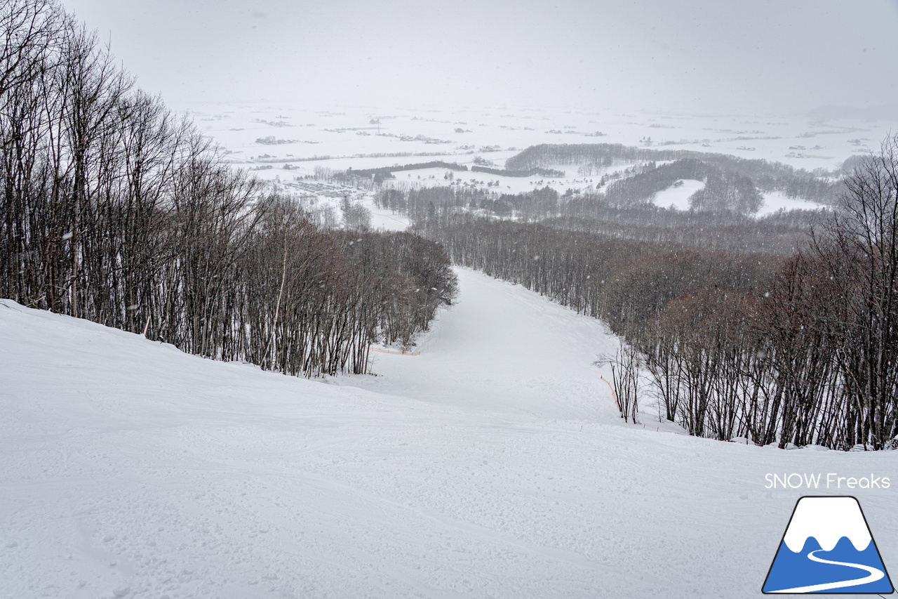 キャンモアスキービレッジ｜アットホームな人の優しさがもたらす、居心地の良さ…。スペックなどの数字では表すことが出来ない、スケール感の大きな素晴らしきローカルスキー場♪